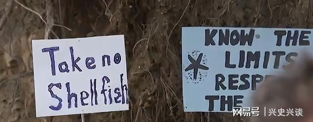 开云体育app官网-大规模抗议爆发, 针对华人! 本地人在海边用中文横幅抵制!