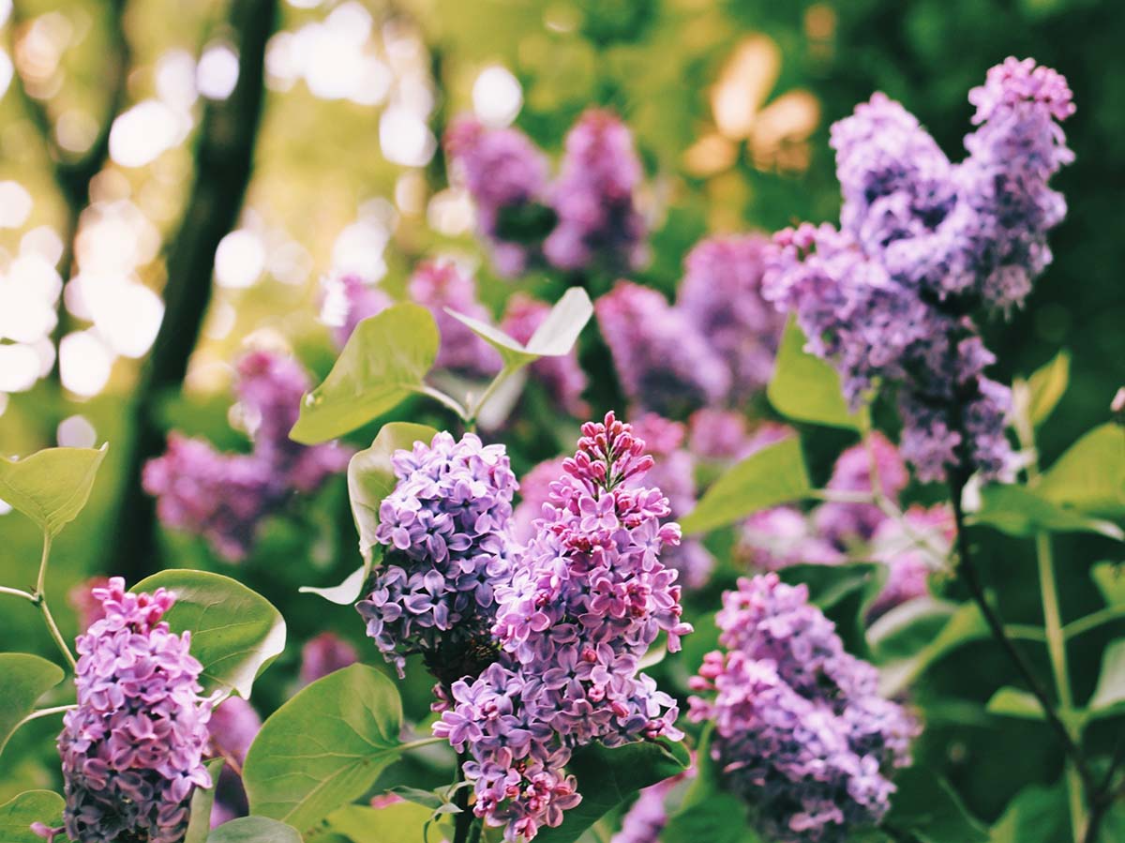 云体育app官方网站入口-今年财运翻身！这3个生肖苦尽甘来，赚钱比以前轻松多了！